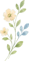 flower-2
