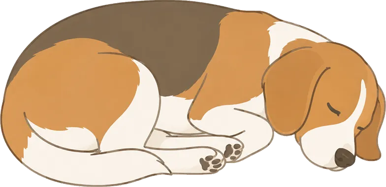 pet-1