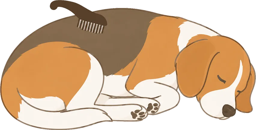 pet-4